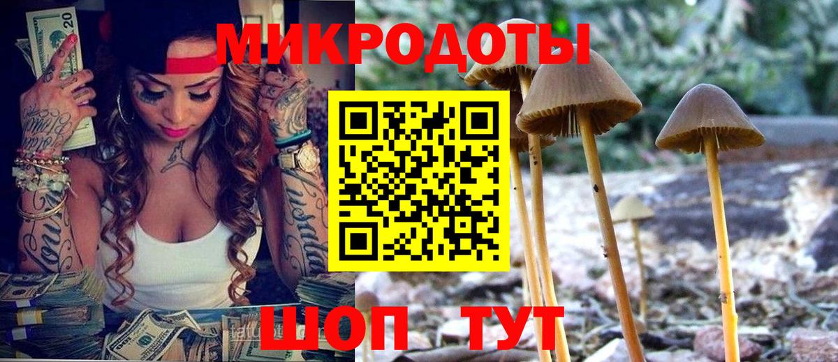 Камышин  Галлюциногенные грибы Psilocybine cubensis  Вход с VPN 