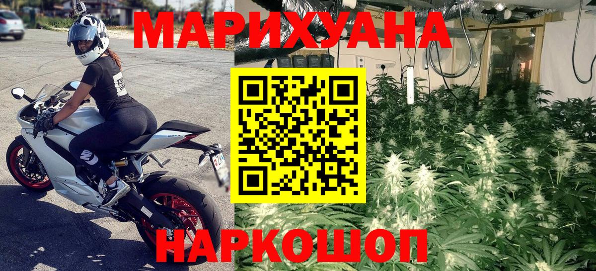 Конопля Amnesia Камышин